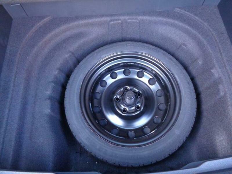 GOLF VARIANT