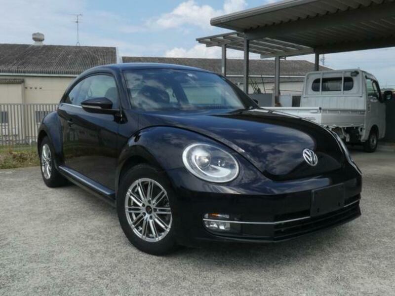 THE BEETLE