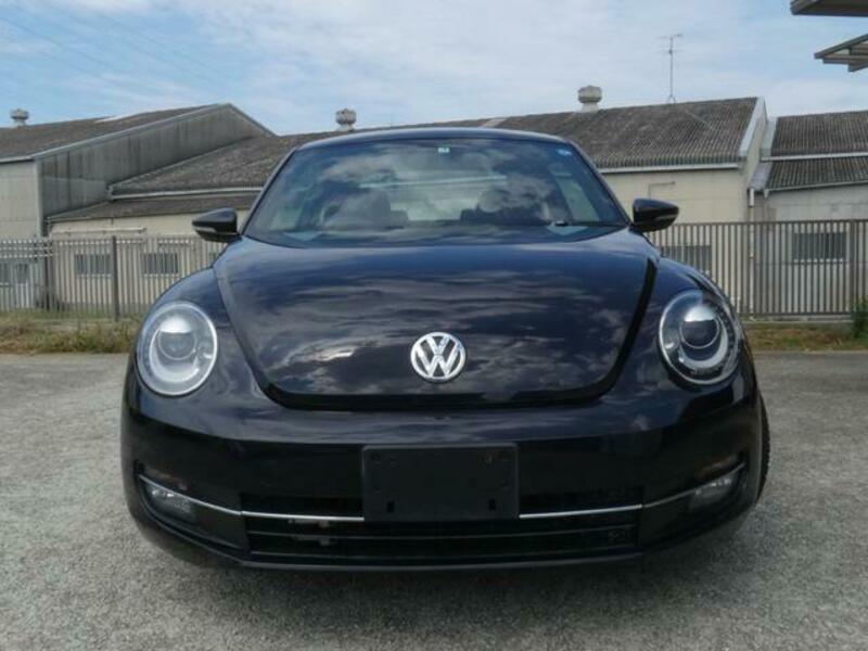 THE BEETLE