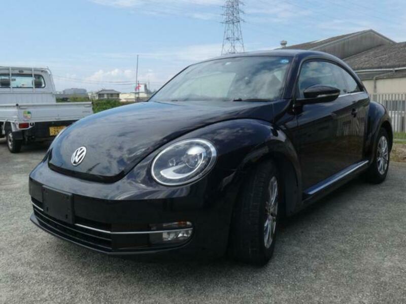 THE BEETLE