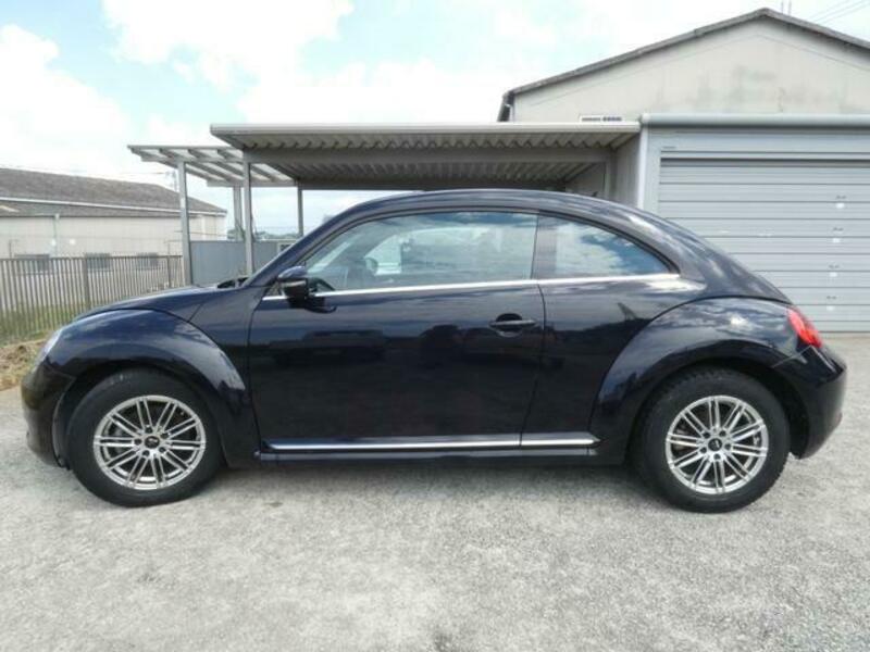 THE BEETLE