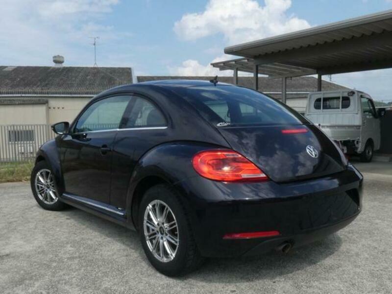 THE BEETLE