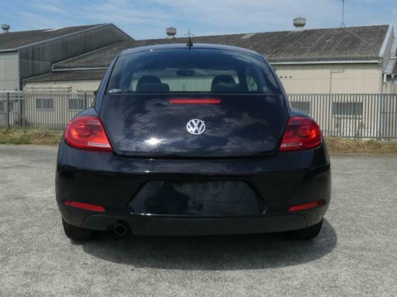 THE BEETLE