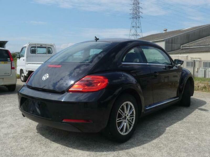 THE BEETLE