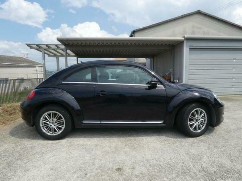 THE BEETLE