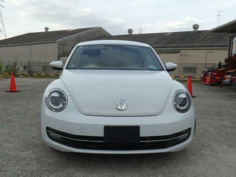 THE BEETLE