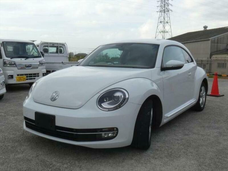 THE BEETLE