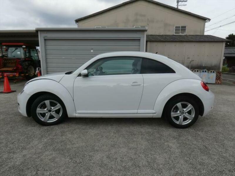 THE BEETLE