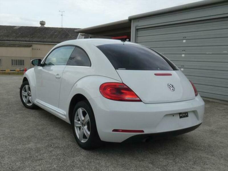 THE BEETLE