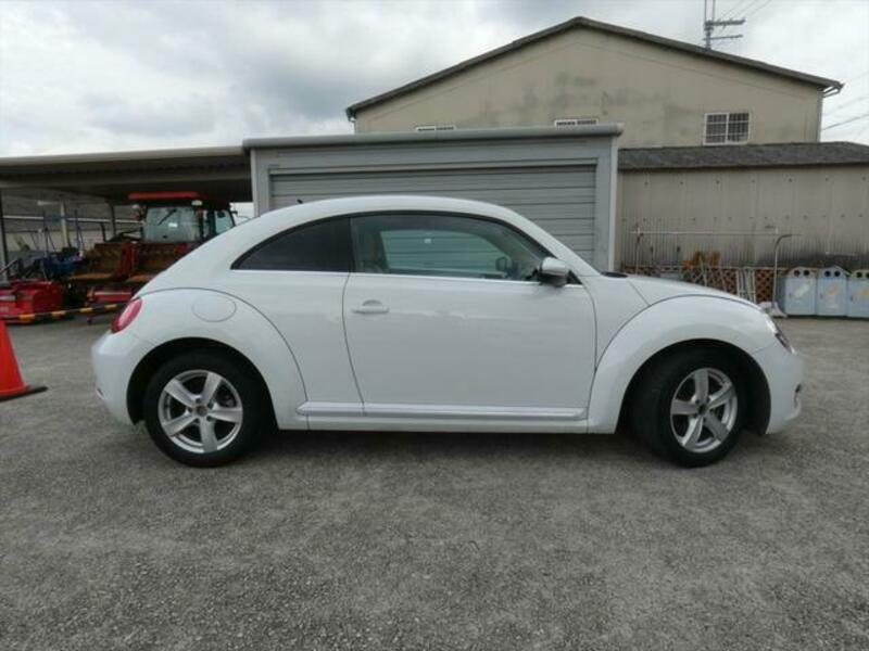 THE BEETLE