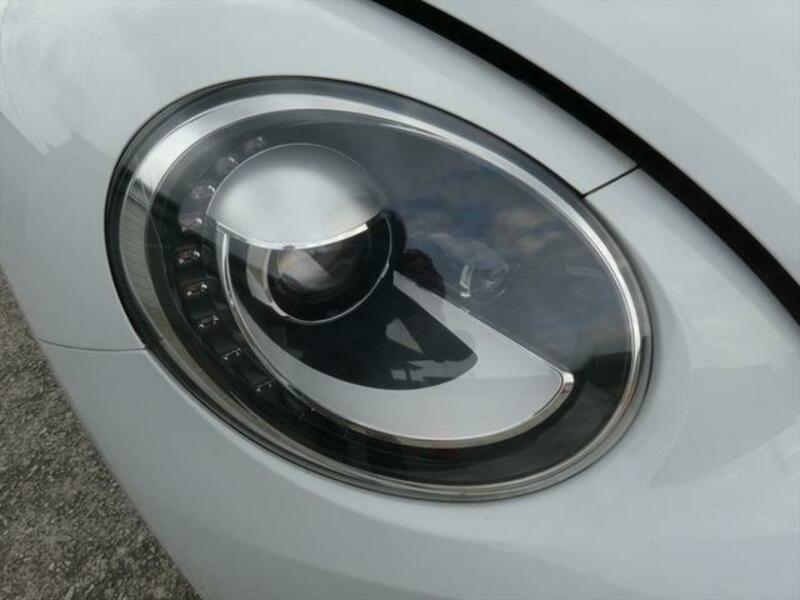 THE BEETLE