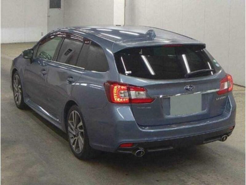 LEVORG