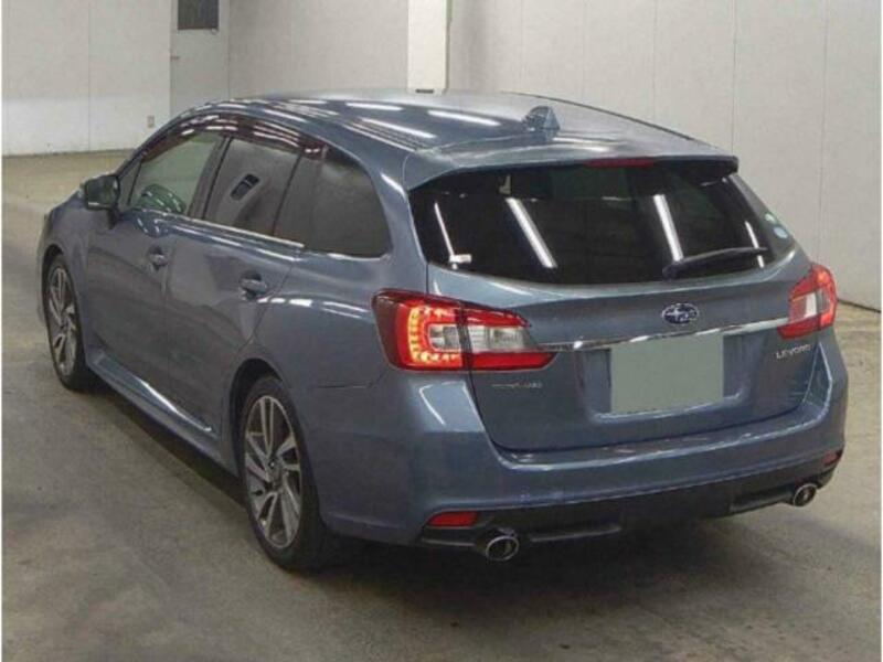 LEVORG