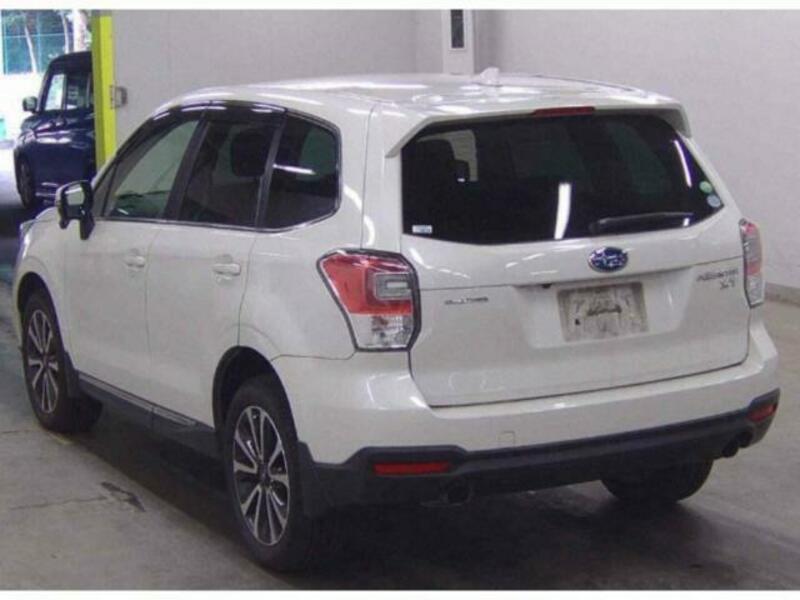 FORESTER