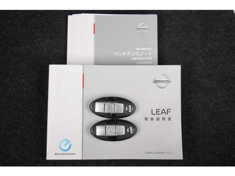 LEAF
