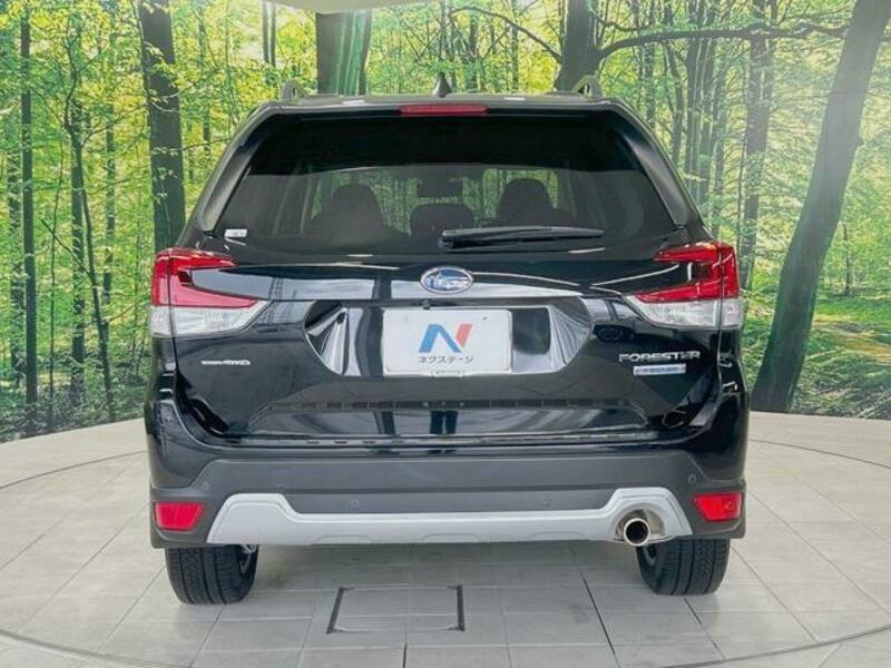 FORESTER