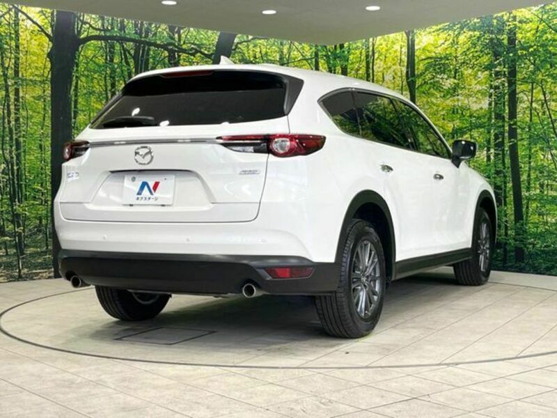 CX-8
