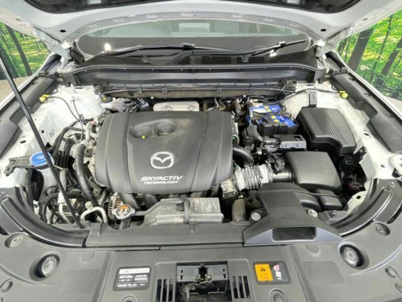 CX-8