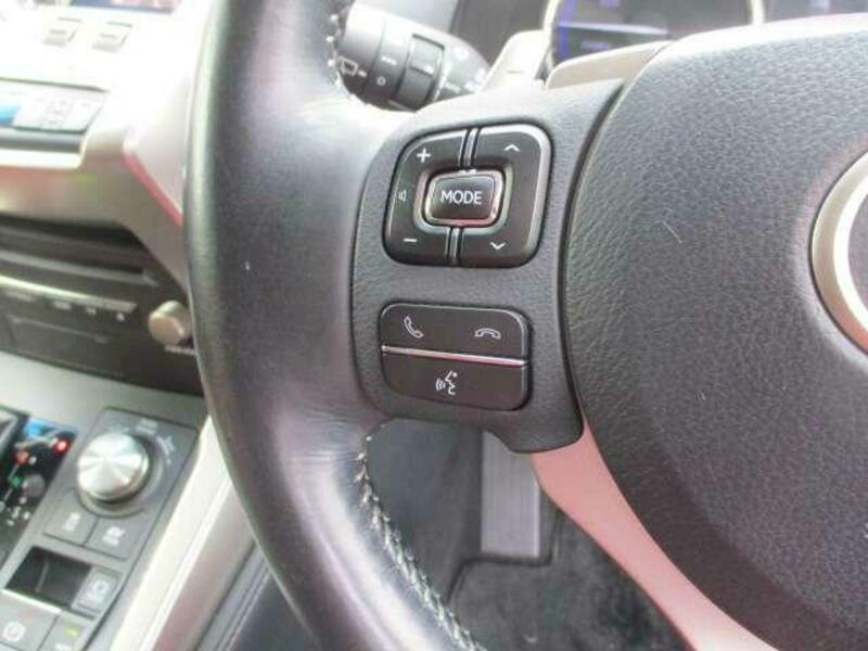 NX