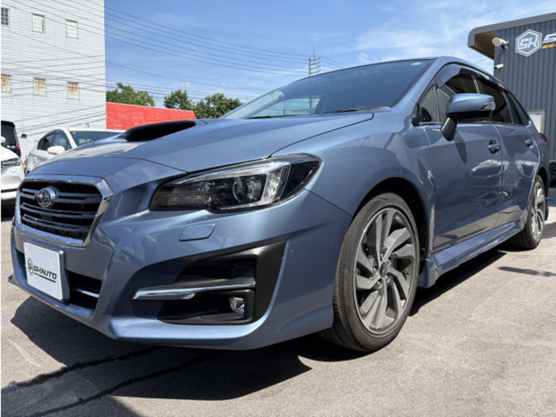 LEVORG