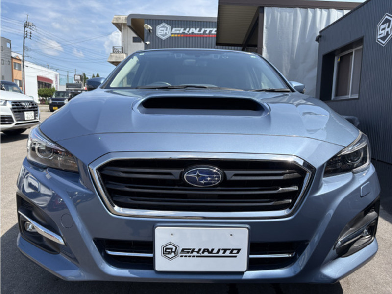 LEVORG