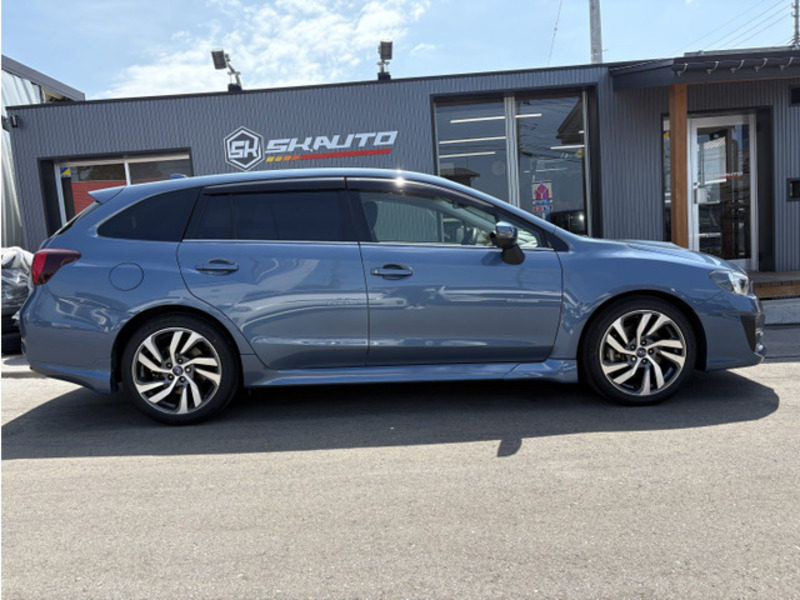 LEVORG
