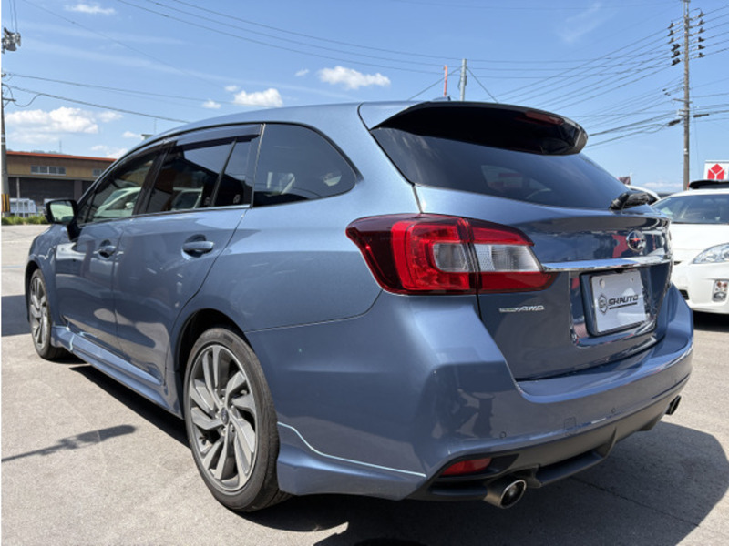 LEVORG