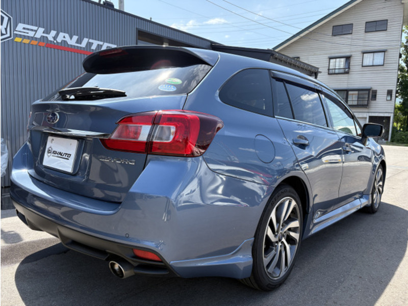 LEVORG