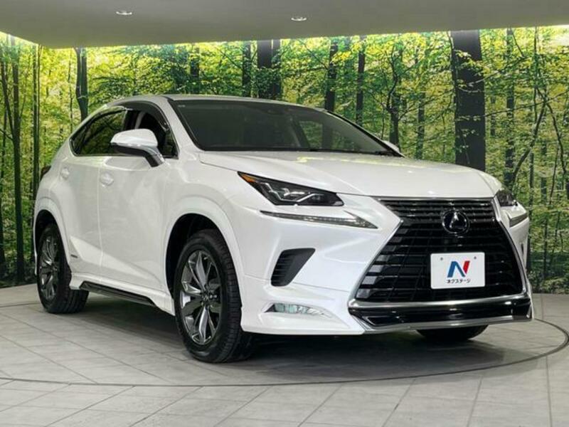 NX