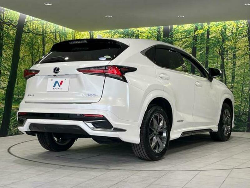 NX