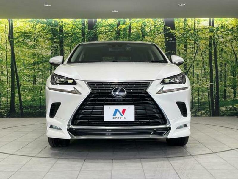 NX
