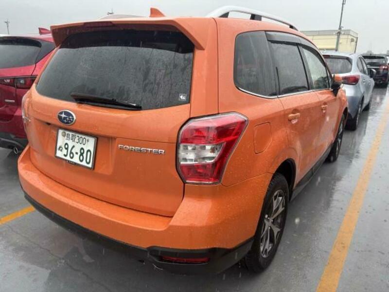FORESTER
