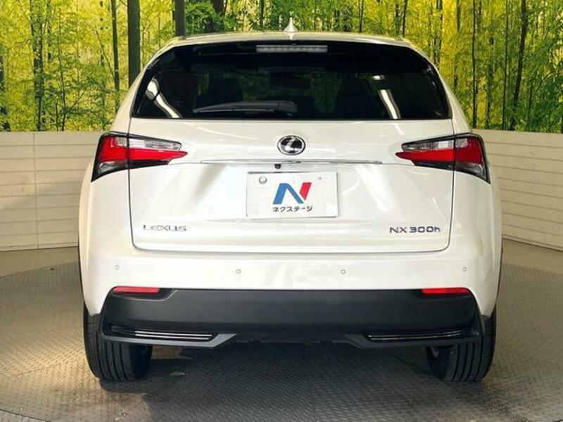 NX