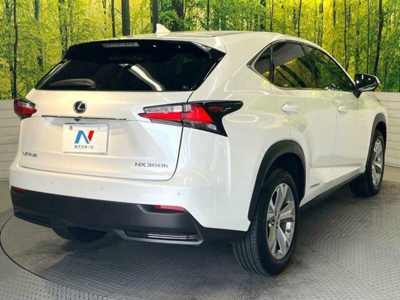 NX