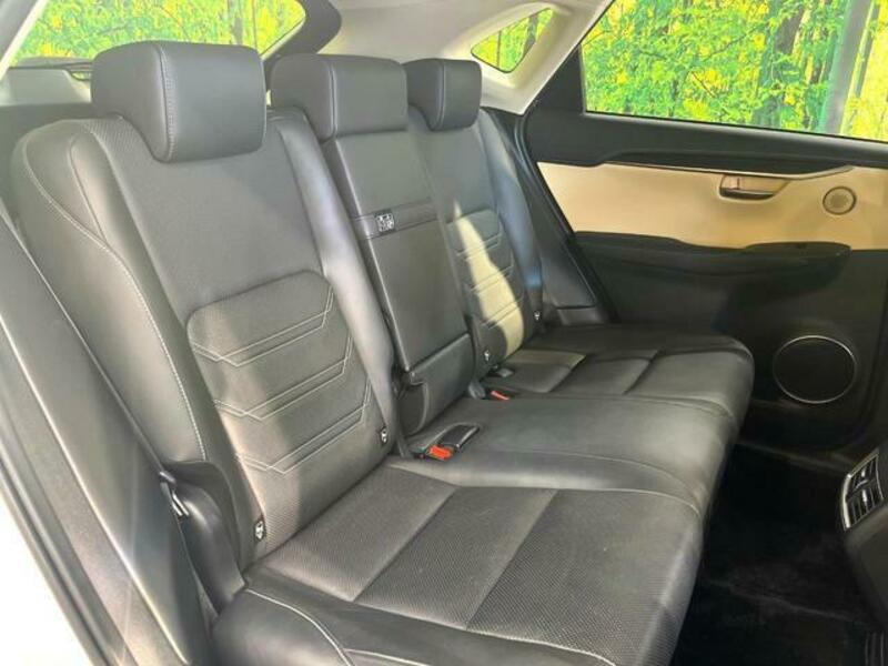NX