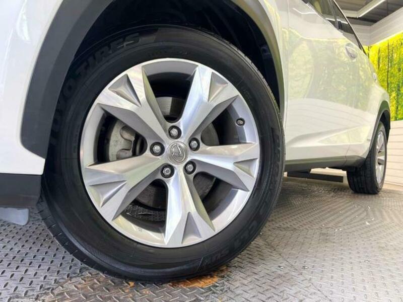 NX
