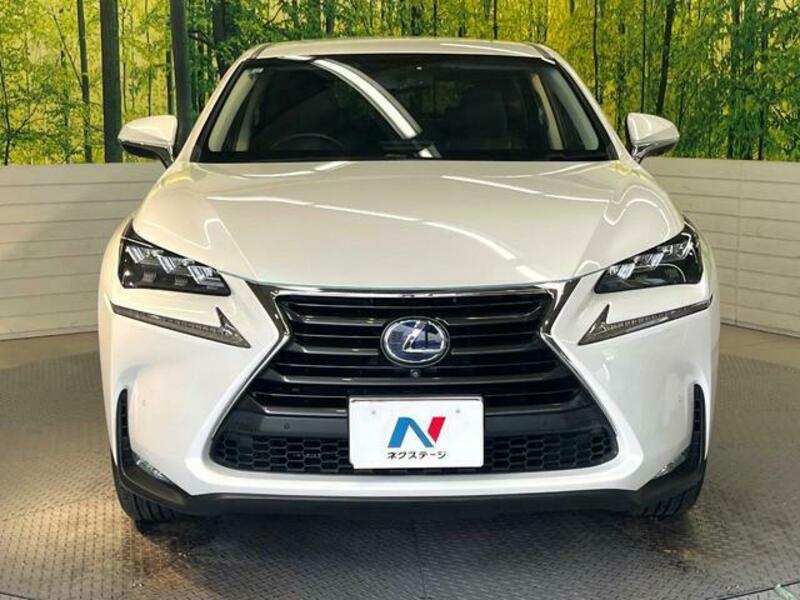 NX
