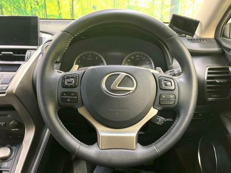 NX