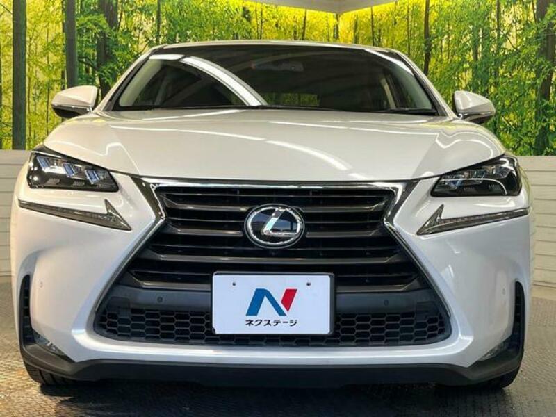 NX