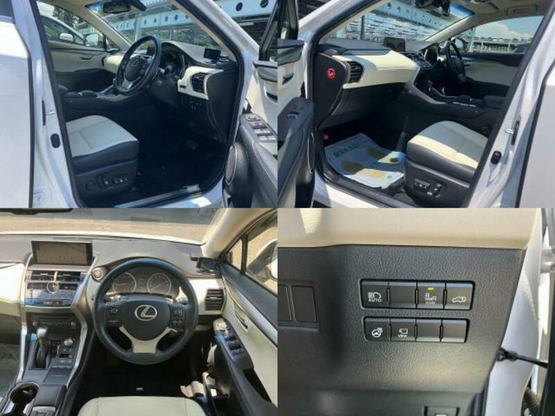 NX