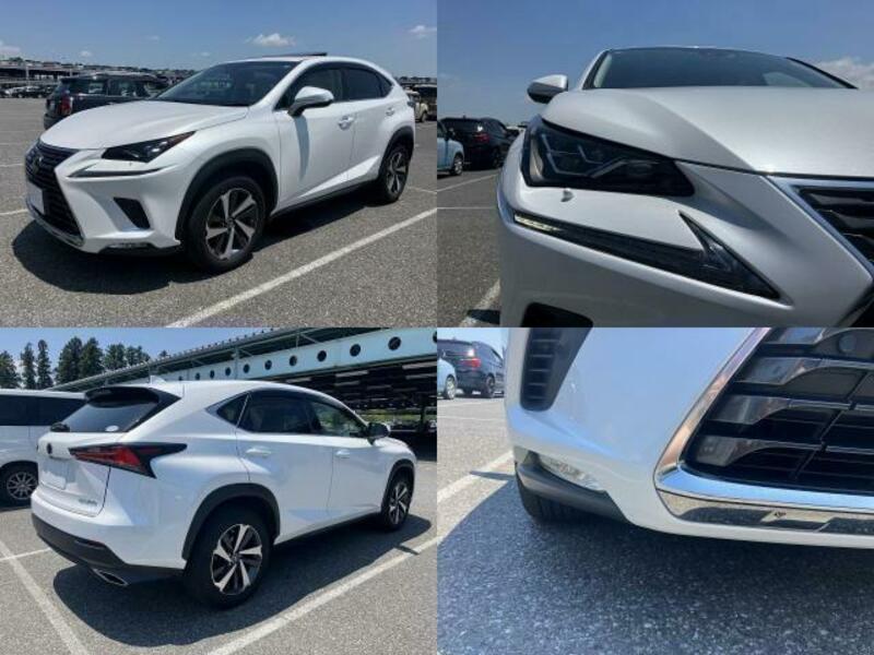 NX