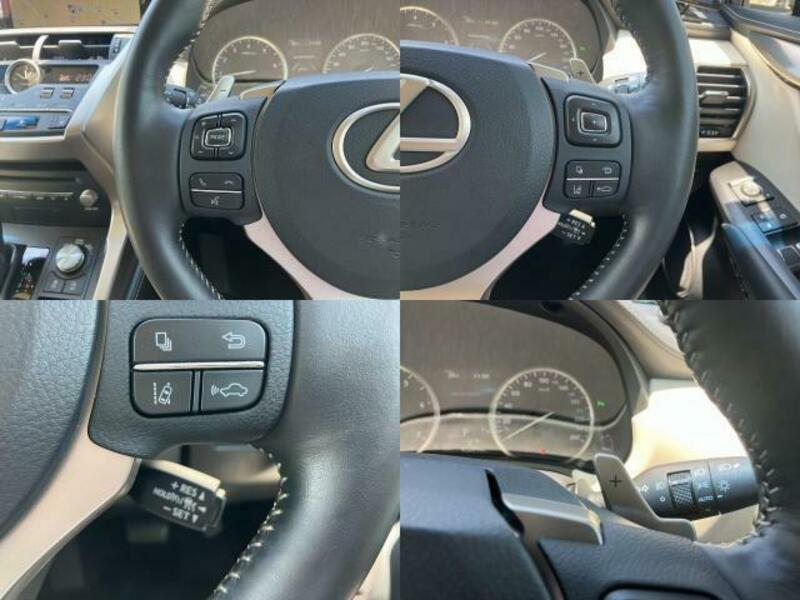 NX