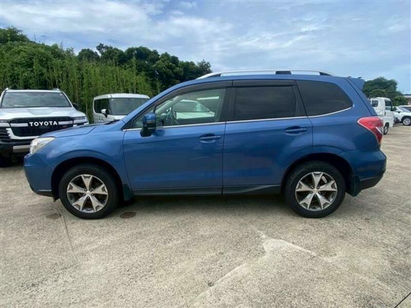 FORESTER