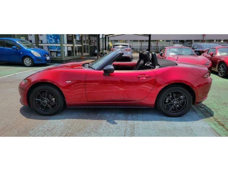 ROADSTER