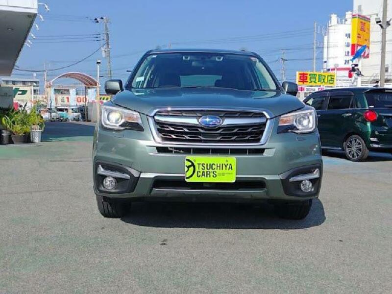 FORESTER