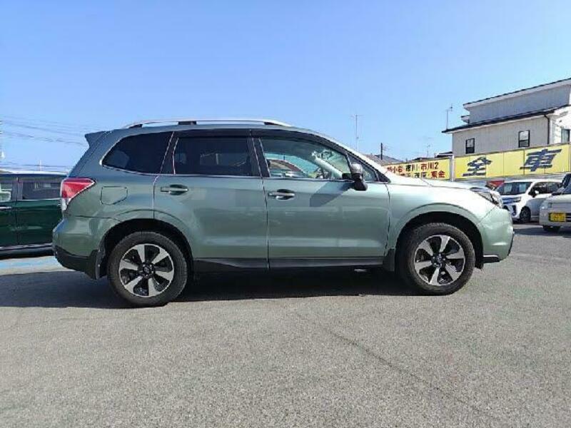 FORESTER