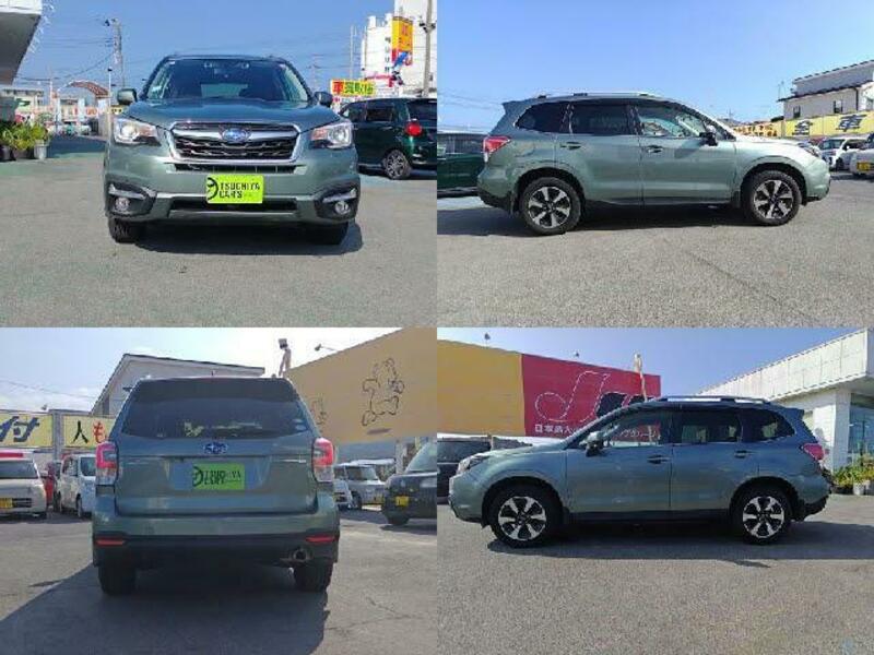 FORESTER