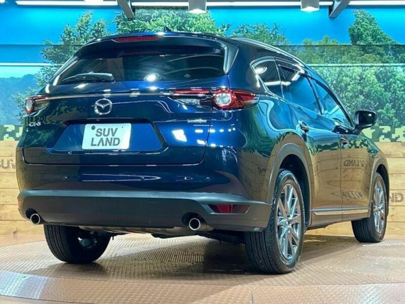 CX-8