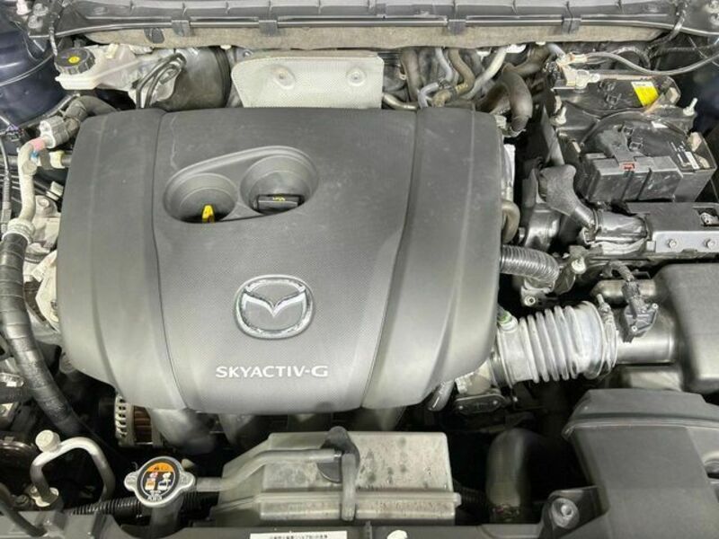 CX-8
