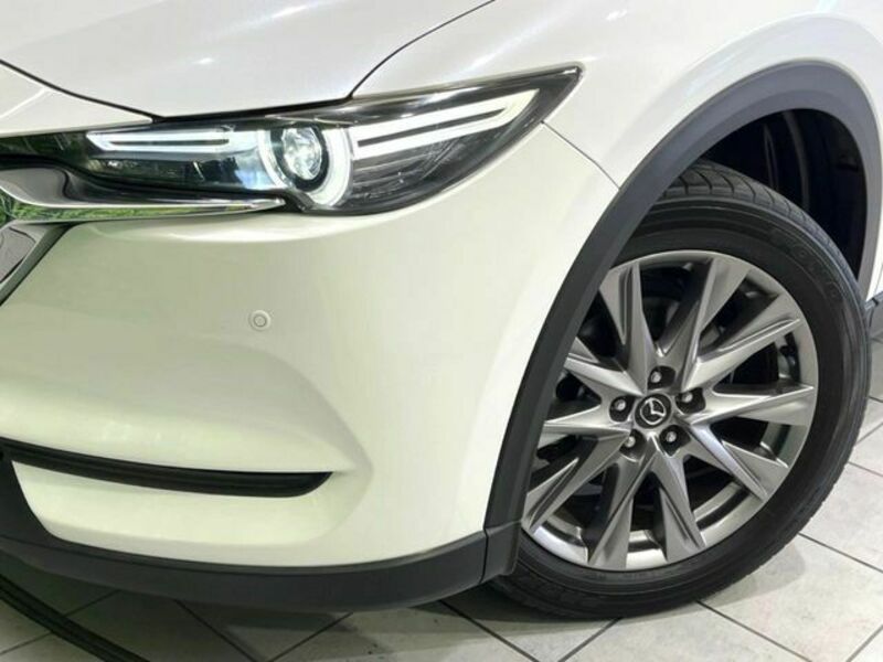 CX-8